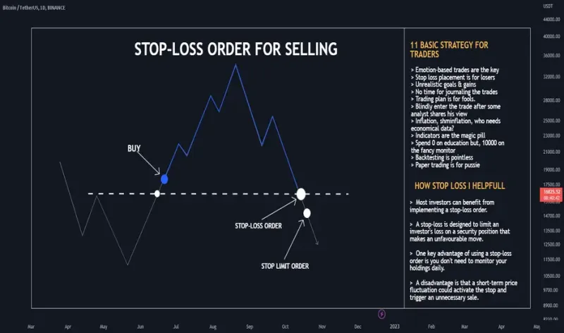 Stop-Loss Geography: How Algorithmic Traders Map Your Exit Points and Profit Before the Real Move Starts